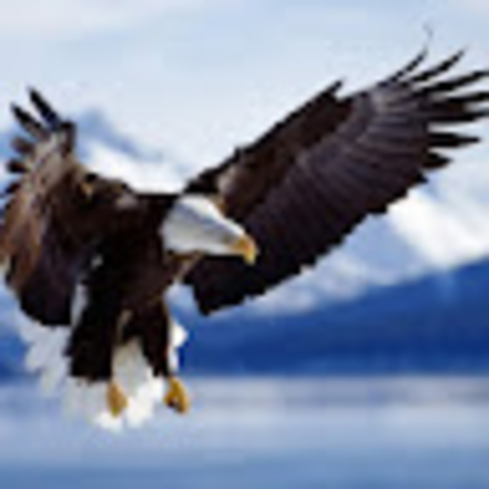 Meet your Posher, Joe